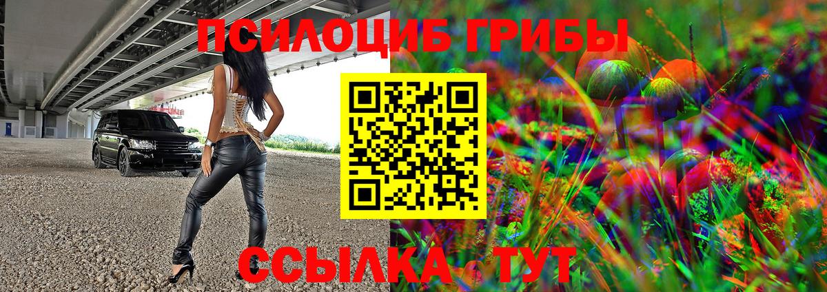 Псилоцибиновые грибы прущие грибы Кулебаки
